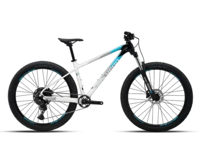 אופני הרים Polygon Xtrada 5